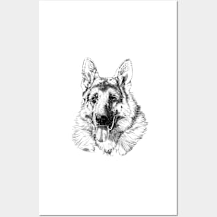 Schäferhund Posters and Art